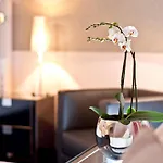 Western Premier Rebstock Hotel 4*