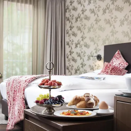 Western Premier Rebstock فندق 4*